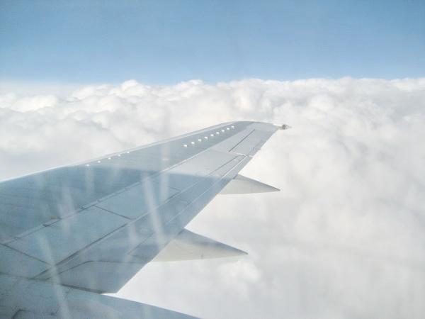 IMG_5925_resize.JPG
