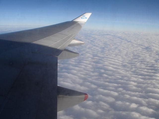 DSC00733.jpg