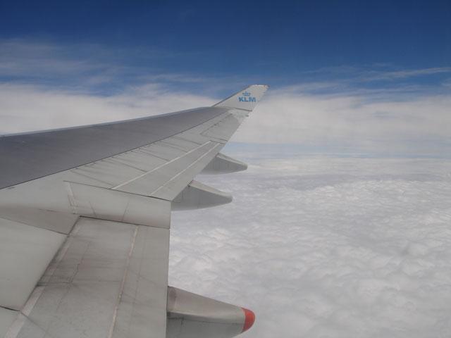 DSC00730.jpg
