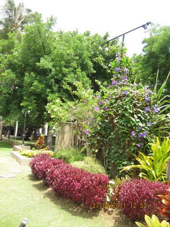 IMG_1658_resize.jpg
