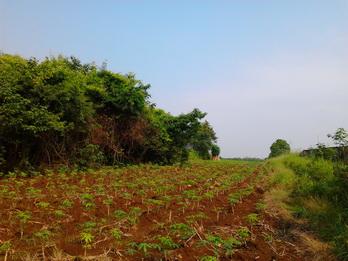 รูป​ถ่าย0629_resize.jpg
