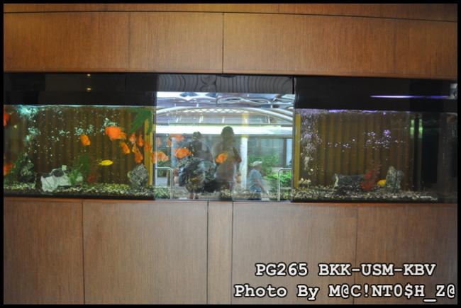 DSC_0182_resize.jpg