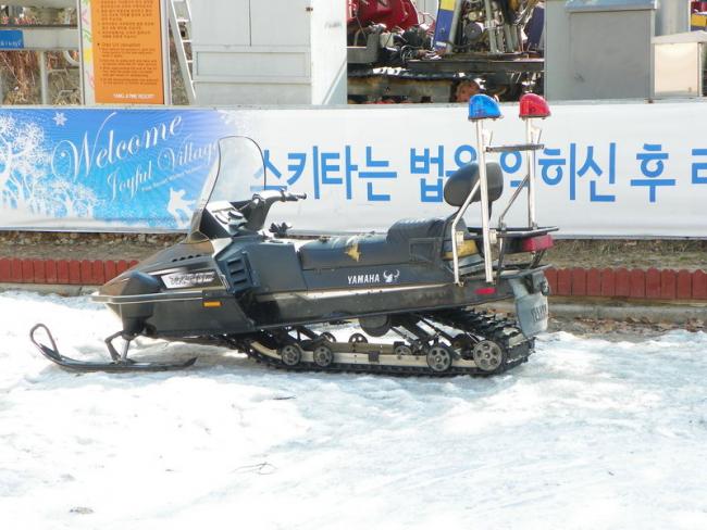100_5172_resize.JPG
