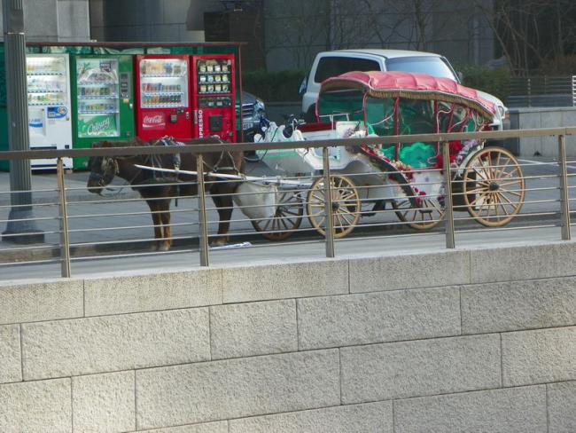 100_5626_resize.JPG