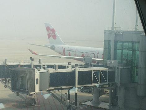 20120329_093433.jpg