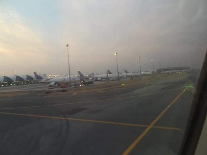 DSCF0039_resize.JPG