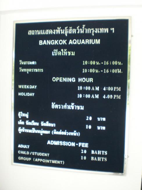 SANY6451.jpg