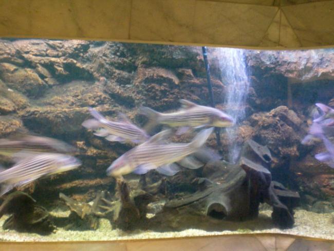 SANY6247.jpg