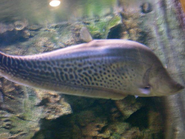SANY6266.jpg