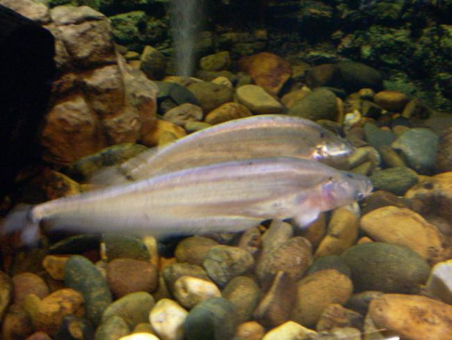 SANY6271.jpg