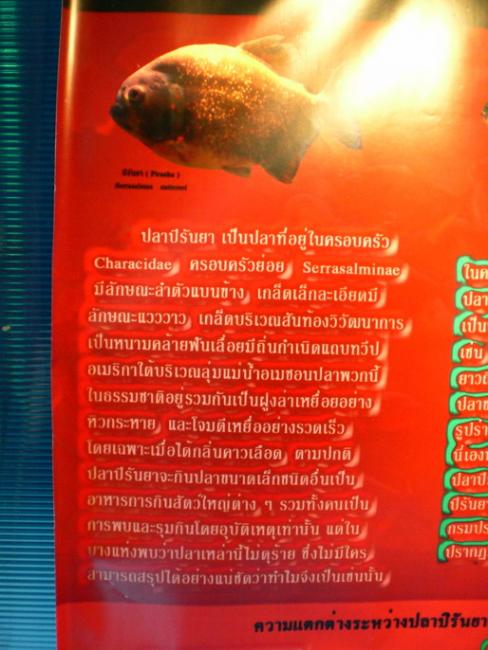 SANY6433.jpg