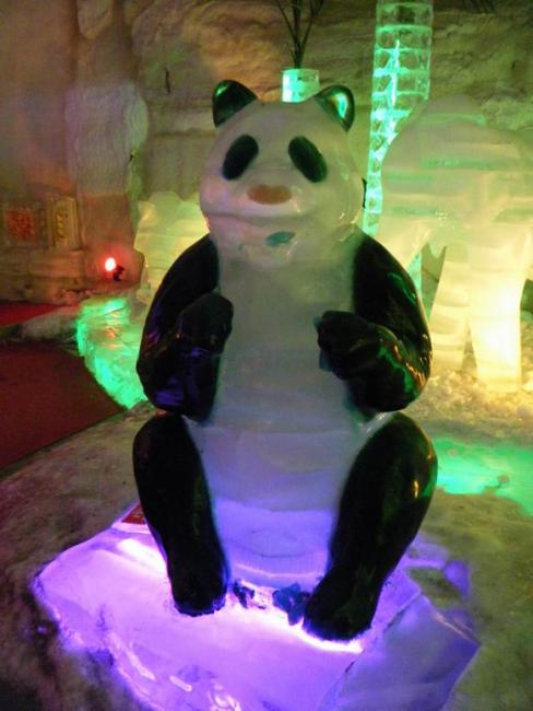 DSCF5558.jpg
