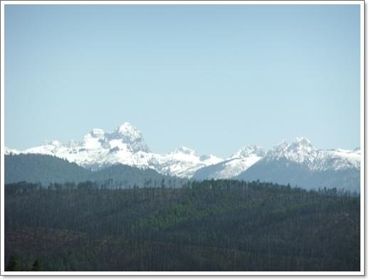 DSCF0251.jpg