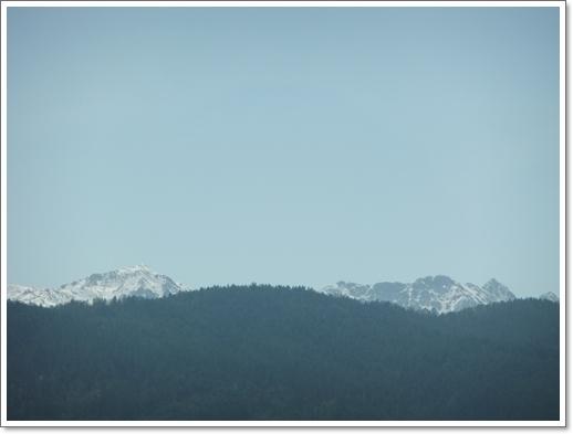DSCF0252.jpg