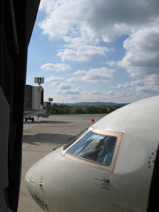 dl1.jpg