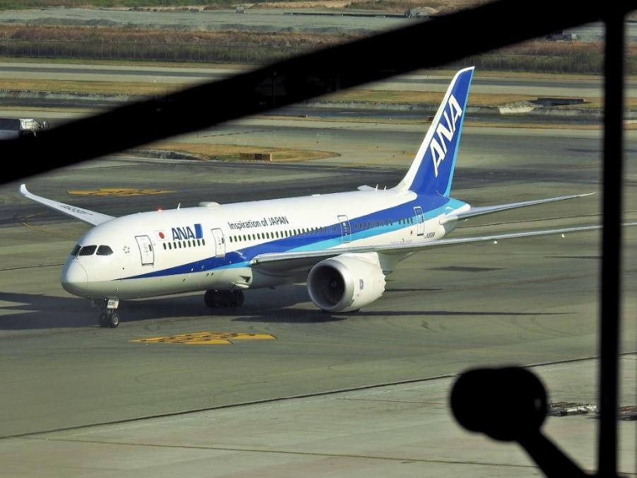 ANA 787.jpg