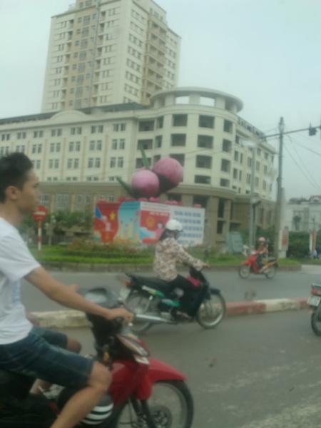 CIMG4402_resize.jpg