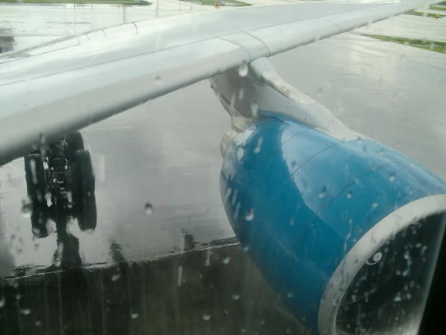 CIMG4250_resize.JPG