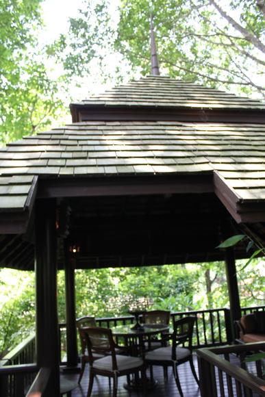 IMG_4916_resize.JPG