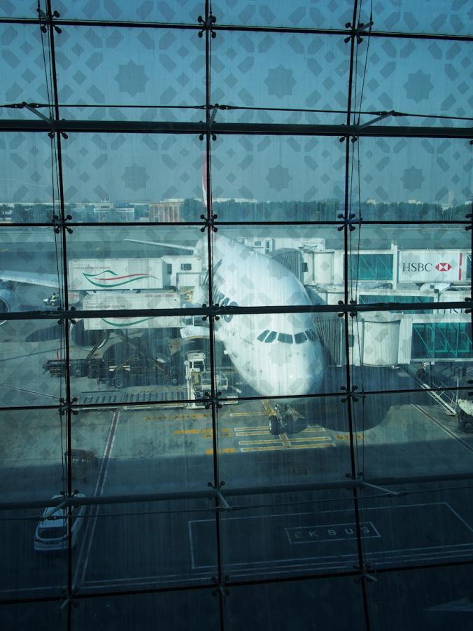 P5180087.JPG