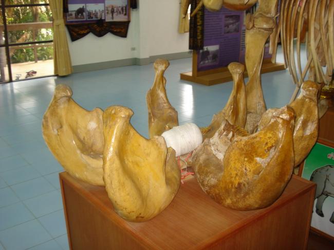 DSC00400_resize.JPG