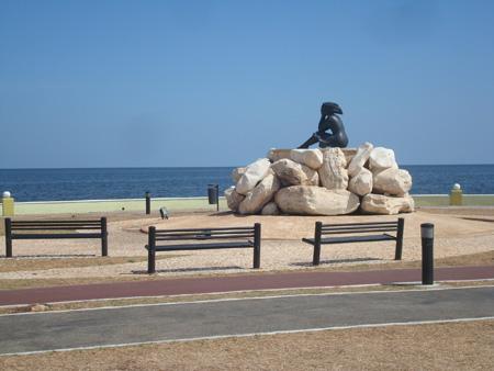 DSC02252.JPG