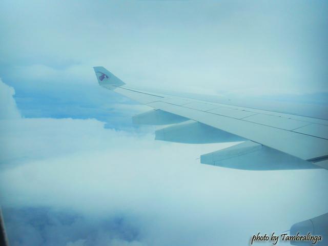 SDC17288.jpg