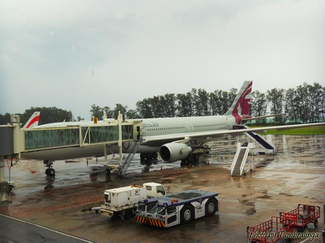 SDC17271.jpg