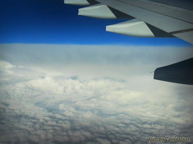 SDC17422.jpg
