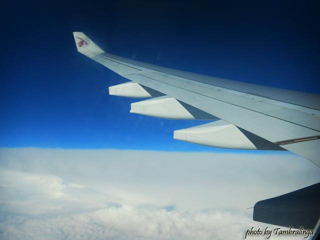 SDC17421.jpg
