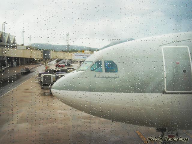 SDC17273.jpg