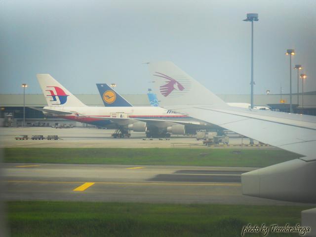 SDC17325.jpg
