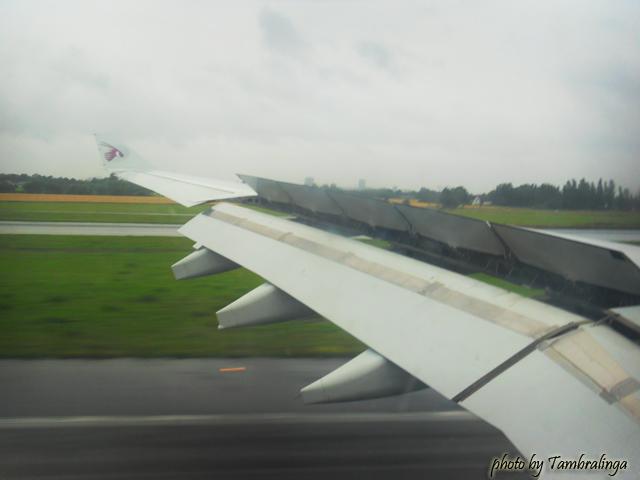 SDC17429.jpg