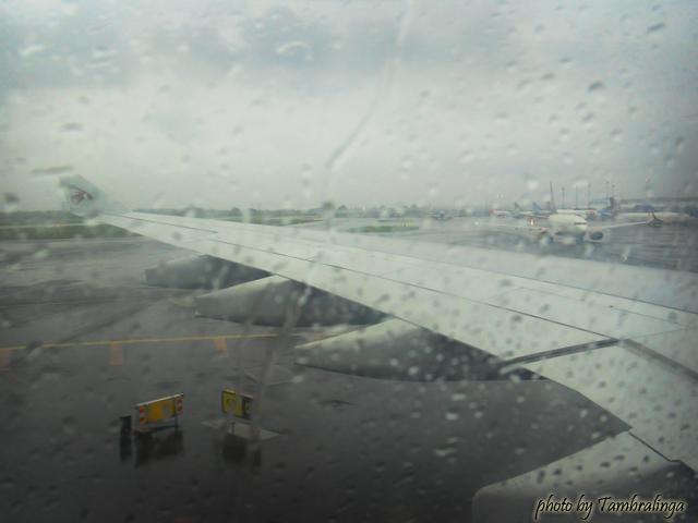 SDC17434.jpg