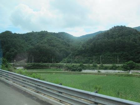 IMG_2952.JPG