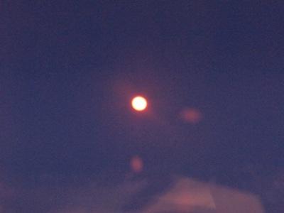 IMG_2925.JPG