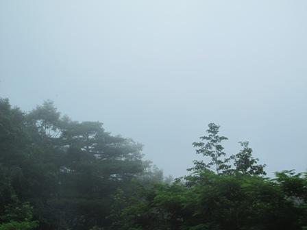 IMG_2958.JPG