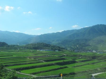 IMG_3374.JPG