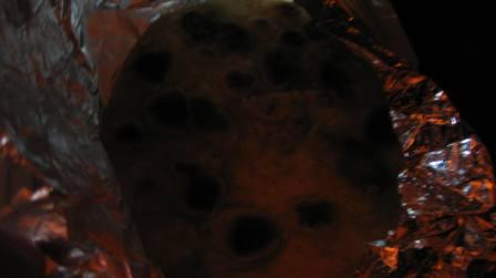 IMG_6146.JPG