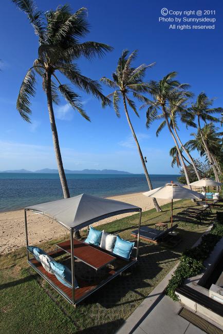 samui_003_hf.jpg