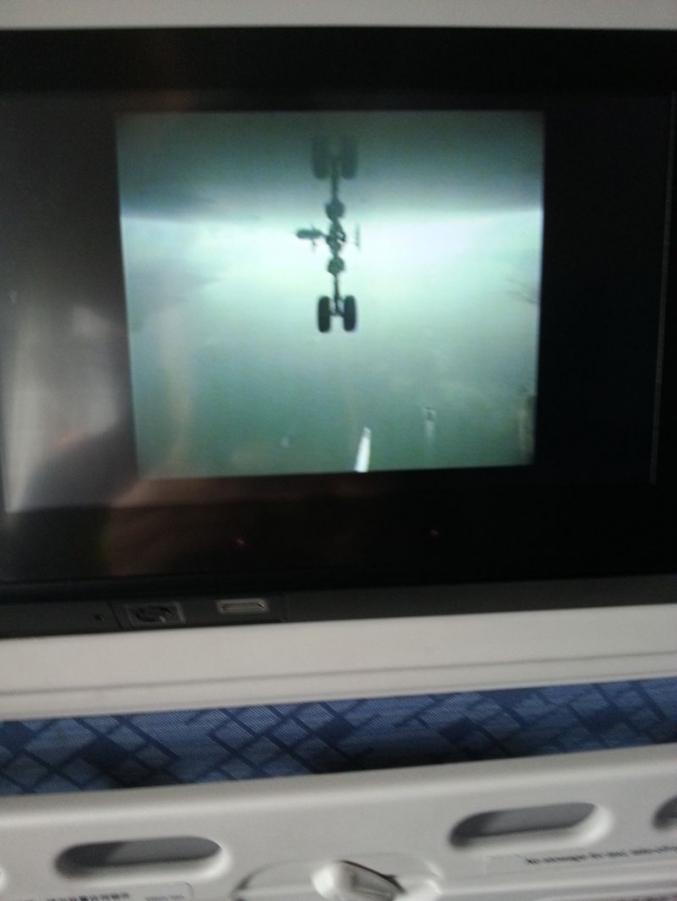 20130625_145504.jpg