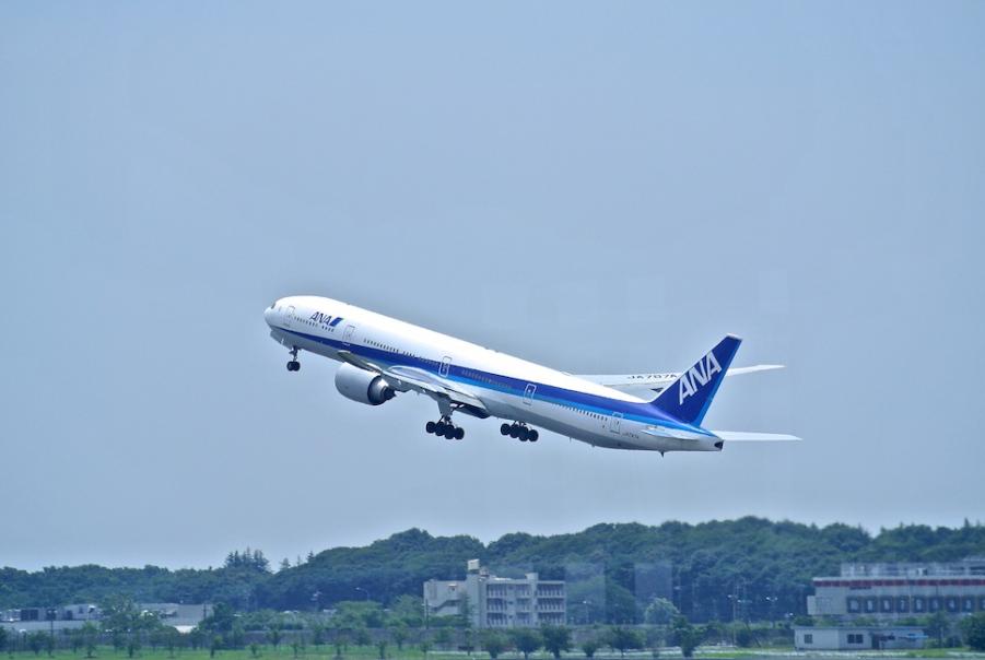 DSC_2781.JPG