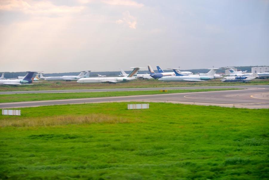 DSC_2893.JPG