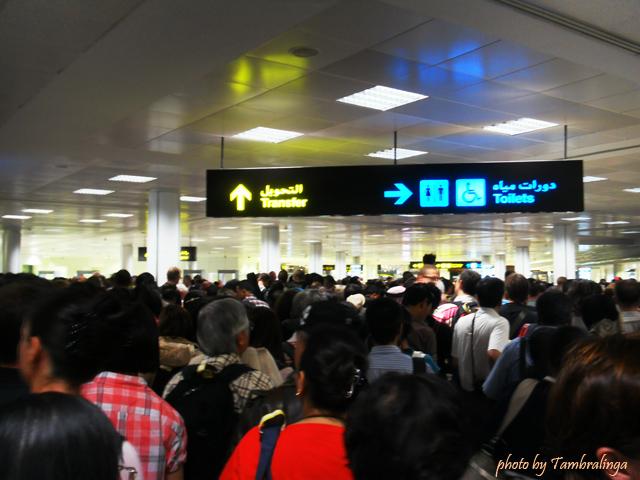 SDC18741.jpg