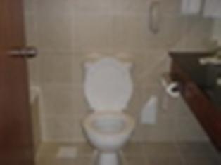 Picture SIN 031.jpg