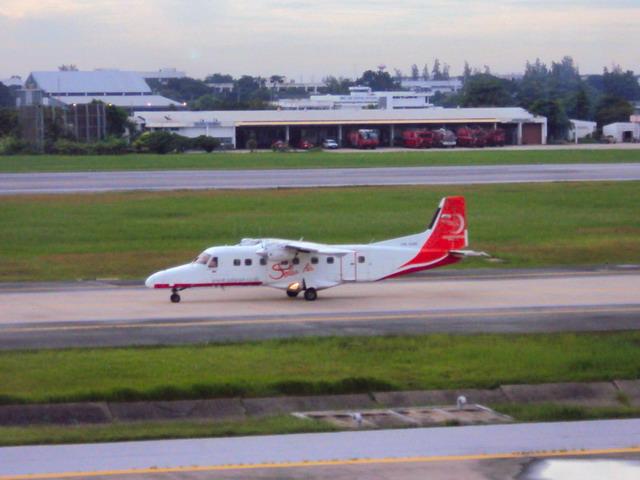 DSC00161_resize_resize.JPG