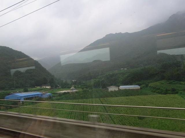 rimg0333.jpg