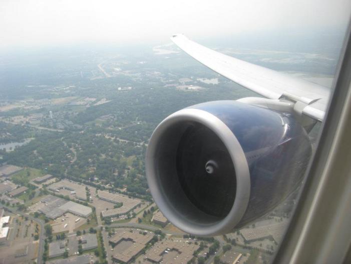 dl14.jpg