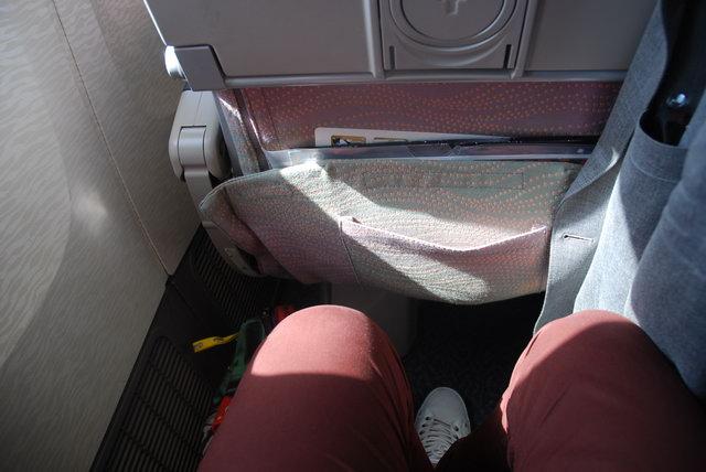 EK 372 DXB - BKK  (94).JPG
