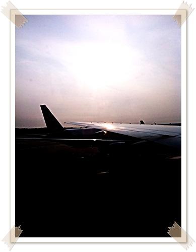 IMG_1325.JPG